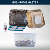 Mushroom Master | Ready-to-Inoculate